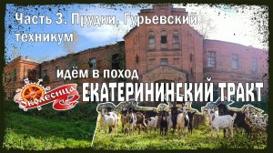 Пешком по Екатерининскому тракту, 3 серия