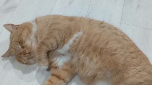 Кайфую от жизни и от вязания!