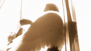 Песня «Крылья» премьера песни