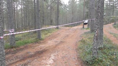 Сосновские Горки 2017 Дроныч и Староста