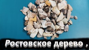 Минералы в коллекцию. Ростовское дерево. Замещение опалом .