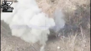 🔴«Хохляцкий-Тарзан» заскочил на дерево.🙂🔴