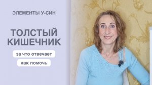 Толстый кишечник: как он влияет на наше здоровье и как ему помочь