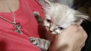 Малышка из квартиры, хозяин которой  попал  в реанимацию, передает всем привет из дома. Девочка в на