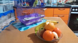 С ДОБРЫМ УТРОМ❤️❤️❤️❤️