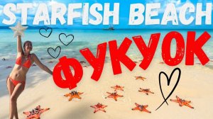 Фукуок Starfish beach Пляж со звездами Вьетнам. Своим ходом Приключения в джунглях