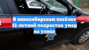 В новосибирском посёлке 13-летний подросток умер на улице