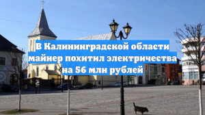 В Калининградской области майнер похитил электричества на 56 млн рублей
