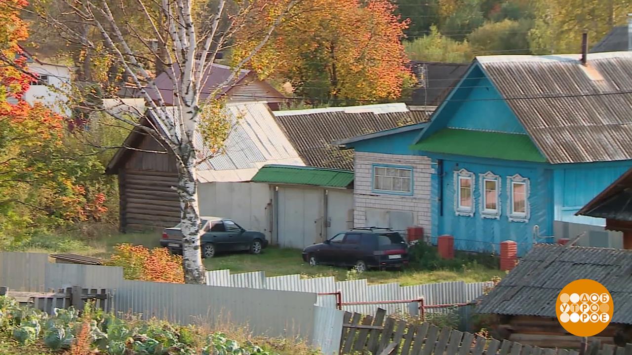 Хочу в деревню! Доброе утро. Фрагмент выпуска от 19.11.2025