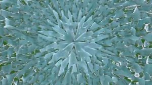 Переход-узор на стекле_encoded