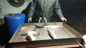 VID_20251119_191938_503