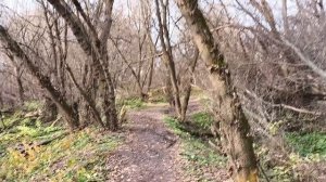 Пробежка в ноябре