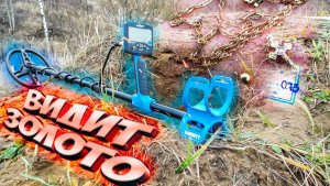 Он видит мелкое ЗОЛОТО! Тест Garrett VORTEX на мелкое золото!