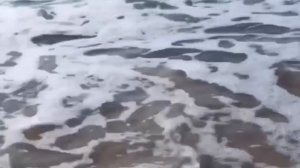 Премьера клипа!!! Новинка!!! BAMBIZ - МОЕ МОРЕ!!!