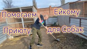 Помогаем Ейскому ПРИЮТУ для собак/Как я делаю тяжёлую РАБОТУ/В городе ведут РАСКОПКИ/Заберите СОБАКУ