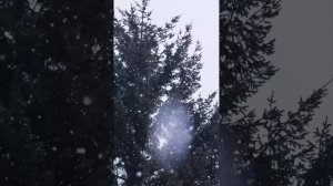 Идеальная фоновая музыка для вашего дня!