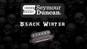 Seymour Duncan Black Winter (Bridge)