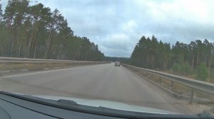 Neoline SmartWay (с камерой заднего вида) пример видео - день