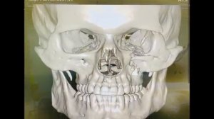 Он был будущей звездой UFC.В 19 лет