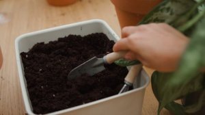 Н.К. Прядилина. "УГЛТУ"