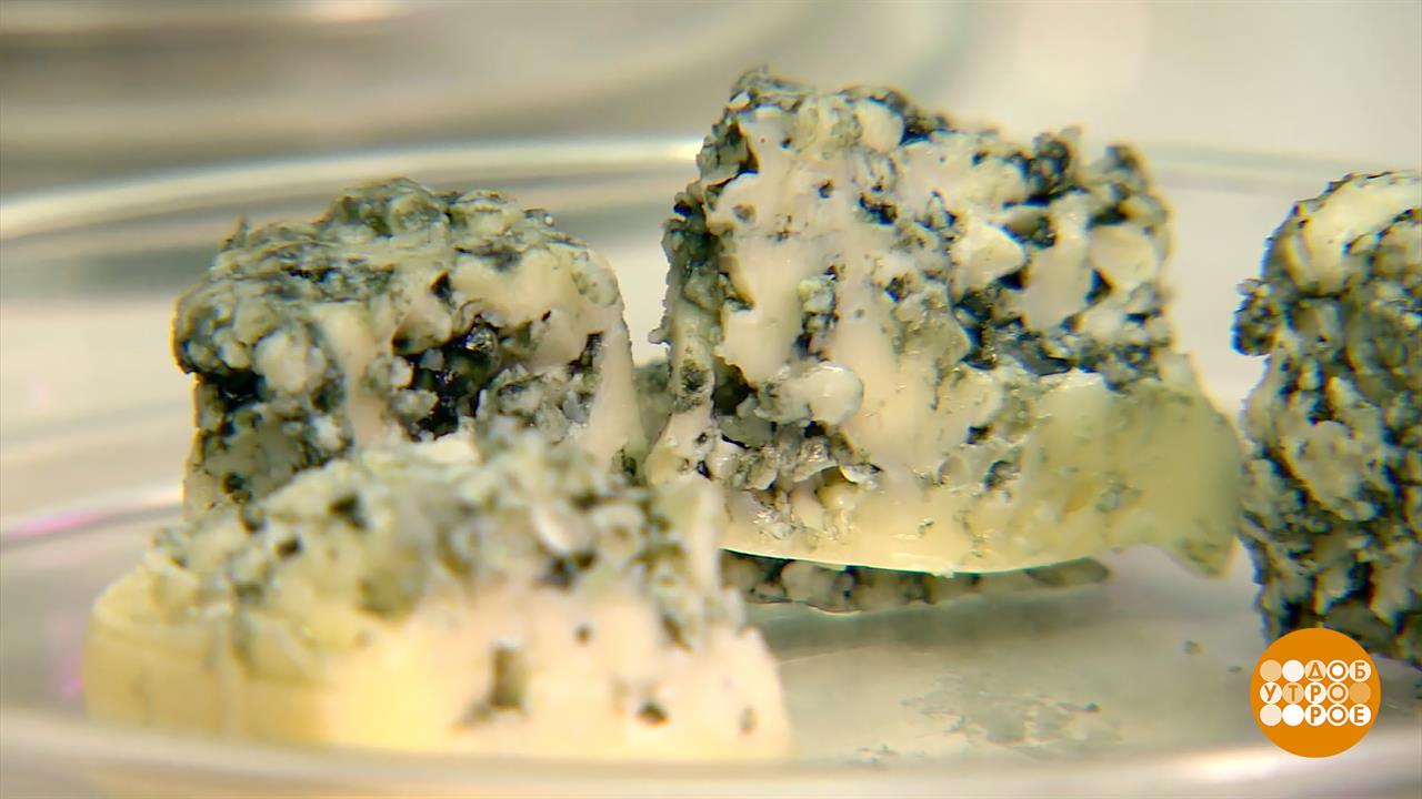 Плесень, дикая и совсем не симпатичная. Доброе утро. Фрагмент выпуска от 19.11.2025