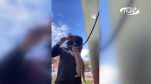 Имам и котик стали звездами интернета!