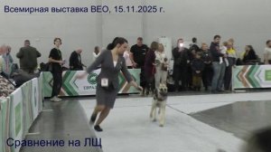 Сравнение на ЛЩ