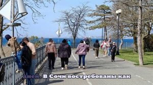 «Алеан»: Новогодние туры в Анапу туристы разберут до конца ноября