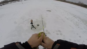 ПЕРВЫЙ ЛЕД СЕЗОНА 2025-2026 ОТКРЫТ ЗЛЫЕ ПОКЛЕВКИ ЗУБАСТОЙ