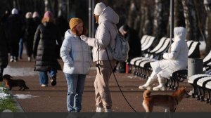 Синоптики спрогнозировали температуру до +2 градусов в Москве 19 ноября