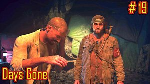 Days Gone прохождение с русской озвучкой часть 19