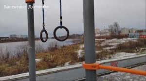 16.11.2025 Снег с утра... неужели зима не за горами... Моменты дня-моменты жизни.