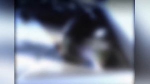 gran turismo 4 intro