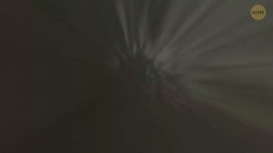 Находки в Антарктиде, которые оставляют экспертов с большими вопросами