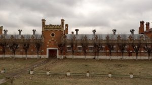 Старожиловский конный завод будут восстанавливать