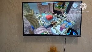 Хороший раунд и финал в игре что где когда на первом канале смарт ТВ