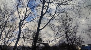 магический облачный местами солнечный прогноз погоды от волшебника 19 ноября