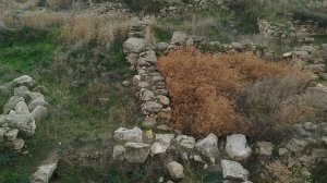 Прогулка по Мирмекию.