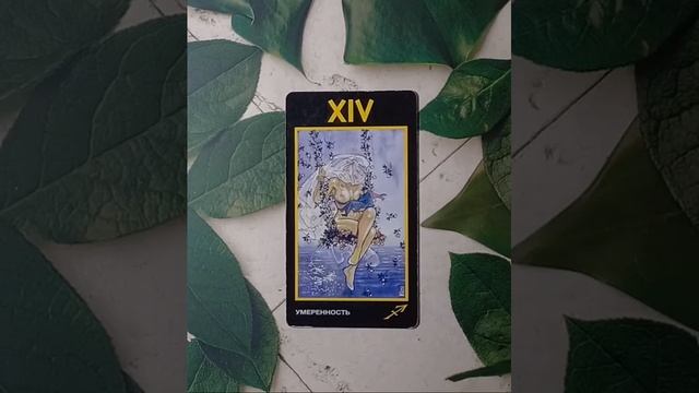 Для начинающих.Таро Манара.Старший аркан Умеренность.