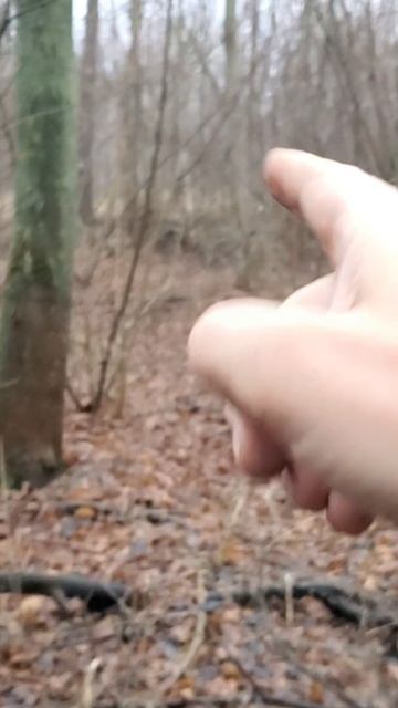 Нашёл крест ЛЕПЕСТОК.