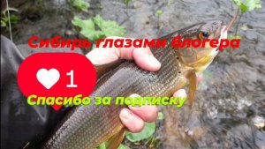 Ушли далеко по реке в верх ,где Макар телят не пас.