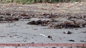 19.11.2025 Сахалинские блоги. ЛЮБОПЫТНЫЙ СИБИРЯК. Сахалин - большое осеннее путешествие