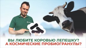 Что лучше, свежий коровий навоз или миниатюрная пробиогранула?..
