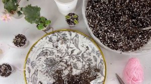 Сгнил лист фиалки, что делать?