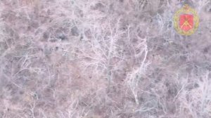 🇷🇺🇺🇦Засада на бойцов ВСУ в Северске
🪖Отделение украинских военных попало в засаду российских…🔽