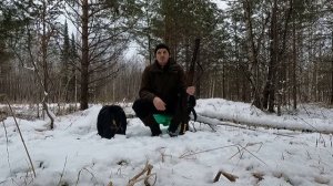 Охота на рябчика МР 94 Север Продолжение обзора Прогулка по лесу