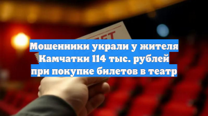 Мошенники украли у жителя Камчатки 114 тыс. рублей при покупке билетов в театр