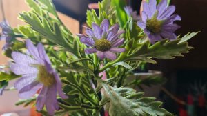 Распаковка из ПЯТЁРОЧКИ С ЦЕНАМИ