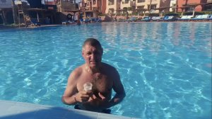 Charmillion Sea Life, Шарм-эль-Шейх. Отдыхаем загораем на басике!