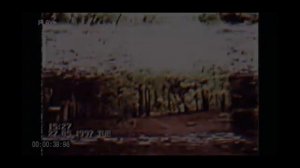 МЧС Припять